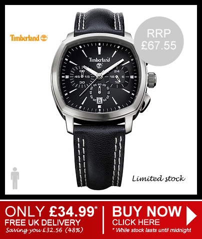 Men's Portalegre watch by Timberland