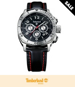 Save 20% off this men's Timberland watch